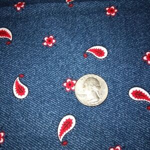 FABRIC Daisy Kingdom 4348 Tossed Bandana Paisley, 2.5 yards